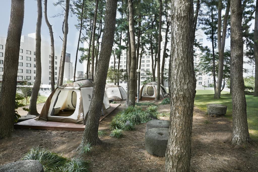 Maison Glad Jeju Exterior photo